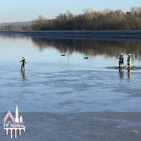 Reh in Isar_FF Höfen.jpg