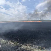 Flächenbrand Oberdingolfing 2023.JPG