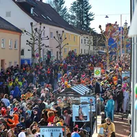 Faschingsumzug Teisbach (1).JPG