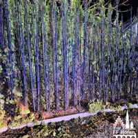 #1 Brand Hecke Schönbühl 01.01.2024 (2).jpg